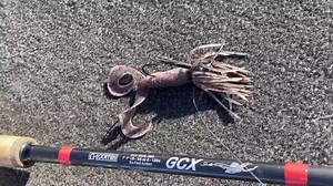 4.7K views · 156 reactions | Team Yamamoto Pro Angler @bass_scribe with his tips on the Hula Grub. #bassfishing #yamamotohulagrub #bassangler | Yamamoto Baits | Facebook