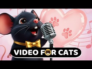 CAT GAMES MICE - Cat Lover Music 💖 "Paws on My Heart" 🎵