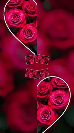 Why God’s timing is perfect and never late.