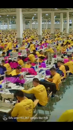 Tus yeej. | Thai Yang