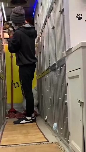 Giandomenico Oliveri su TikTok