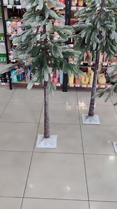 Χριστουγεννιάτικα δέντρα με κορμό σε τρεις διαστάσεις 120 εκατοστά 150 εκατοστά 180cm 19,90 το μικρό 34,90 το μεσαίο 44,90 το μεγάλο Για περισσότερες πληροφορίες καλέστε στο 2310775700 Κατάλληλα και για στολισμό καταστημάτων. | Γιαλαμας Υαλικα-Επιπλα Μαιανδρου 85 Ευοσμος