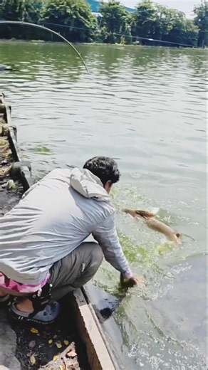 This Fish Put Up a Serious Fight! 🎣🐟 #Shorts