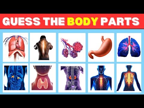 Only 1% can Guess these Body Parts - Tough 40 GUESS THE BODY PARTS Challenge