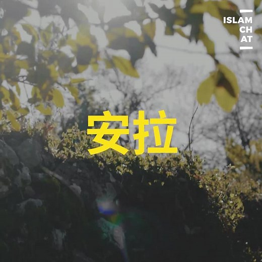 #Allah #真主 #Islam #伊斯兰 #Muslims #穆斯林 #今世与后世 #主宰 #全人类的启示 #马来西亚抖音 #fyp