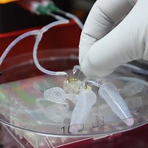 Video: Co-culture of Living Microbiome with Microengineered Human Intestinal Villi in a Gut-on-a-Chip Microfluidic Device