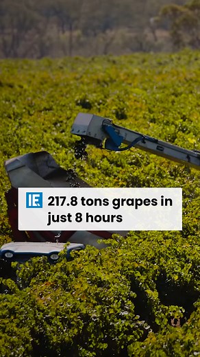 This modern harvester is able to harvest 217.8 tons grapes in just 8 hours with rate of 1.0%, minimal losses, and record low fuel consumption. | Interesting Engineering