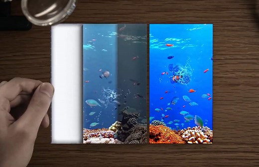 面向未来 中国自研全柔AMOLED屏幕投产