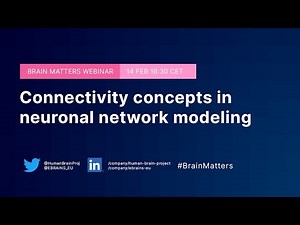 Brain Matters #15 - "Connectivity concepts in neuronal network modeling"