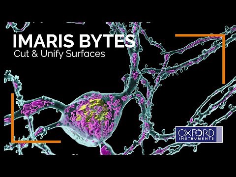 Imaris Bytes | Cut & Unify Surfaces