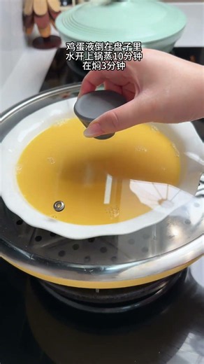 【肉沫蒸蛋】大人小孩都爱吃的肉沫蒸蛋，鲜香滑嫩，做法简单又下饭！#肉沫蒸蛋 #蒸蛋 #家常菜 #中國美食 #food #cooking