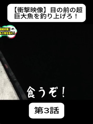 【衝撃映像】目の前の超巨大魚を釣り上げろ！#3 #巨大魚 #大物釣り #釣り #魚釣り #釣り動画 #videoviral #japan #fyp #foryoupage❤️❤️