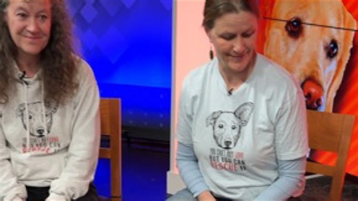 Fetch me a home | Alex and Quinn