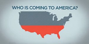 Immigration Infographic