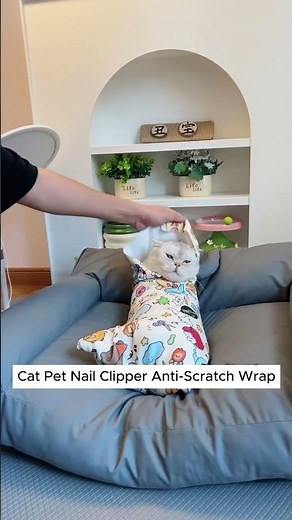 Safest Way to Trim Cat Nails (No More Escapes!)