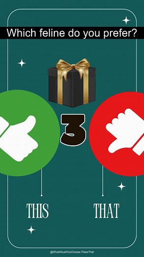 Choose One - THIS or THAT Challenge🎁