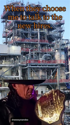 Scaffolding Basics: Safety, Setup, and Tips for Blue Collar Workers