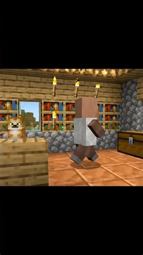 When a Librarian is actually a Cat Person... 📚🐾