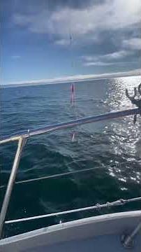 We Tried $20 Rock Fish Setups at Half Moon Bay