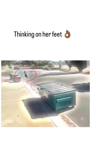 @videos_vrl on Instagram: "The post features a 68-second CCTV-style video from early February 2026 showing a woman in a red top sprinting from two masked pursuers before diving into a green dumpster on a suburban street, narrowly evading detection as they search nearby. Posted by with the caption "Thinking on her feet ", it has garnered over 20,000 likes and 6.8 million views, praising her instinctive decision-making in a high-stakes chase. While many replies celebrate her luck and composure, ot