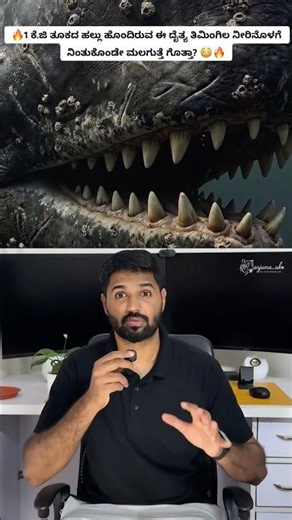 Sperm Whale Has 1 KG Teeth and Sleeps Standing Up 😳🐋 #shorts #wildlife