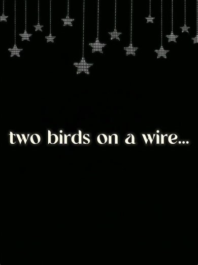 two birds on a wire - lyrics