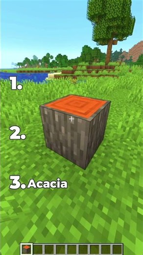 BEST Minecraft Wood types #minecraft #gaming #minecraftshorts