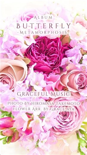 Butterfly〜変容〜 #528hz #shorts #音楽 #healing #ヒーリングミュージック #butterfly