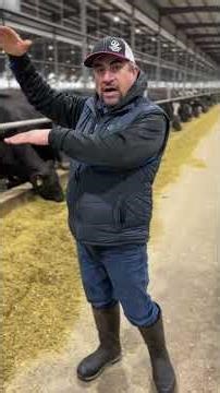 Dairy Deep Dive: How crossvent barns help our cows