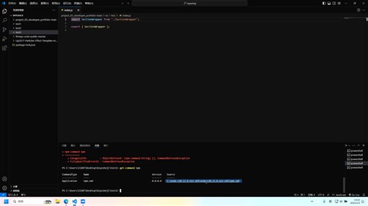 VScode npm指令不运行