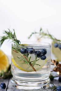 Lemon Blueberry Vodka Spritzer