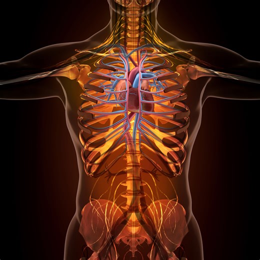 Bye-Bye Sugary Drinks: This Is What Happens To Your Body When You Stop Drinking Soda