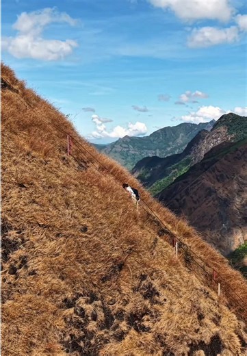 Hiking the Trails of Mt. Kabunian: A Journey to Remember