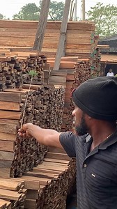 About to catch lizards I am a king in catching lizard 😜 | Deprince Tochukwu Olinya