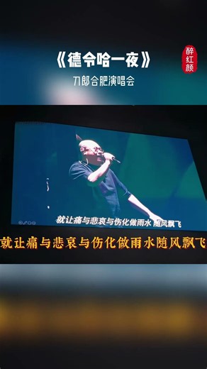 刀郎合肥演唱会《德令哈一夜》 #音樂 #一個人一首歌 #歌手單曲