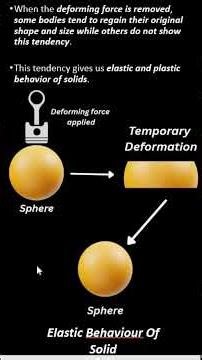 What Is Elasticity ?