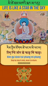 In Buddhist philosophy, particularly in the Diamond Sutra, the metaphor of a star is used to illustrate the concept of impermanence and emptiness. It reminds us that while life appears vivid and real, its nature is transient and dependent on shifting conditions. #DiamondSutra #Impermanence #ZenWisdom #TibetanBuddhism #PhilosophyOfLife | Melodious Dharma Sound