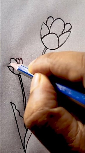 How to Draw Tulip Flowers Step by Step | Easy Drawing for Beginners #shorts
