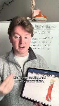 Muscles, origin, insertion, innervation, action A&P #anatomyandphysiology #muscle #anatomy #nursing