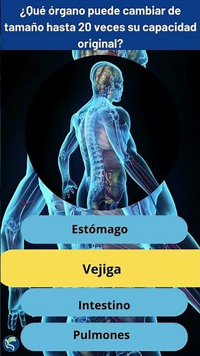 ¿Te atreves a este RETO? 🤔 3 preguntas sobre el cuerpo humano que NADIE acierta 🚨 (¿Podrás tú?)