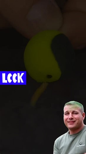 Est-ce que la carpe mange des asticots ? Les asticots constituent une part importante de l'alimentation naturelle des carpes dans leur milieu. Ces larves de mouche se développent naturellement sur les matières organiques en décomposition au bord des plans d'eau, dans les herbiers et sur tout ce qui pourrit dans l'eau #carpfishing #carp #pecheur #peche #carpenter