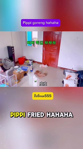 Helo Fan: Pipi and Shanelle's Ultimate Connection