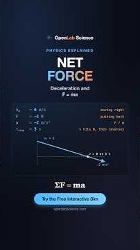 Net Force Explained | Mechanics #Shorts | OpenLab Science