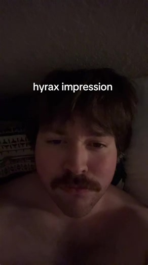 The Unique Sounds of the Wee Wee Wee Cat