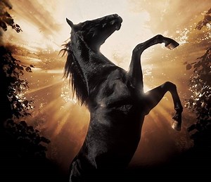 Black Beauty Summary, Trailer, Cast, Where to Watch and More