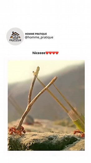 HOMME PRATIQUE on Instagram: "La publication présente un extrait du film d’animation français de 2013 « Minuscule : La Vallée des fourmis perdues », montrant des fourmis noires combattant des fourmis rouges avec des armes artisanales comme des lance-pierres à crayons et des canons à aspirine dans un décor désertique. Malgré la bio de l’auteur axée sur la musique, l’humour intelligent et sans paroles de la vidéo a généré plus de 28 000 mentions « J’aime » et 3,4 millions de vues, évoquant la nost