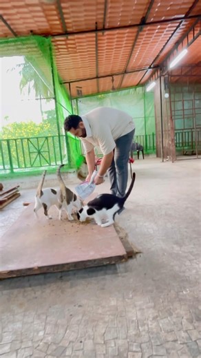 Feeding 100+ souls everyday ❤️🐾Not easy…