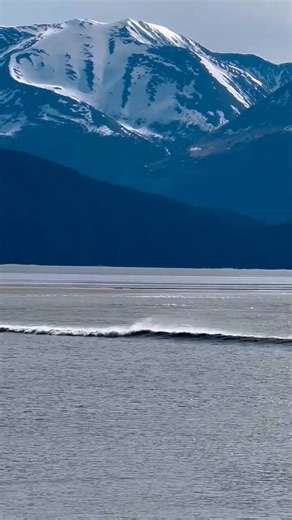 14K views · 626 reactions | "Strong bore tide coming in - Turnagain Arm" Video thanks to Julietta Orres #boretide #Alaska #thealaskafrontier | The Alaska Frontier | Facebook