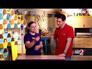 The Science of It: Green and Brown Anoles