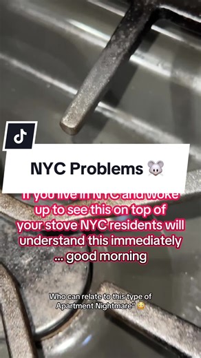 If you live in NYC and woke up to mouse poop EVERYWHERE… just know you’re not alone 😭🐭 I pay rent, utilities, AND emotional damage for this apartment. New Yorkers — please tell me this is a shared experience and I’m not cursed 🥲 Drop a 🐭 if you’ve been personally victimized. #N#NYCLifeN#NYCProblemsmouse #N#NewYorkerreellife